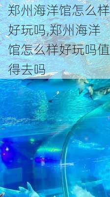 郑州海洋馆怎么样好玩吗,郑州海洋馆怎么样好玩吗值得去吗