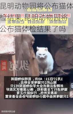 昆明动物园将公布猫体检结果,昆明动物园将公布猫体检结果了吗