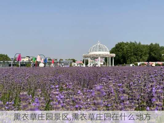 熏衣草庄园景区,熏衣草庄园在什么地方