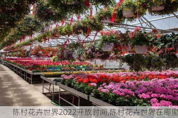 陈村花卉世界2022开放时间,陈村花卉世界在哪里