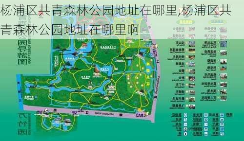 杨浦区共青森林公园地址在哪里,杨浦区共青森林公园地址在哪里啊