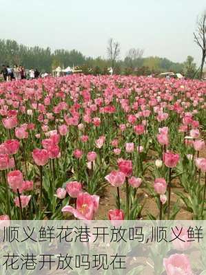 顺义鲜花港开放吗,顺义鲜花港开放吗现在