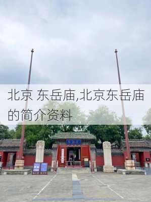 北京 东岳庙,北京东岳庙的简介资料