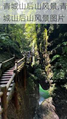 青城山后山风景,青城山后山风景图片