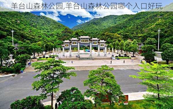 羊台山森林公园,羊台山森林公园哪个入口好玩