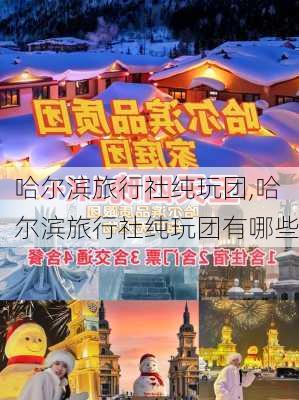 哈尔滨旅行社纯玩团,哈尔滨旅行社纯玩团有哪些