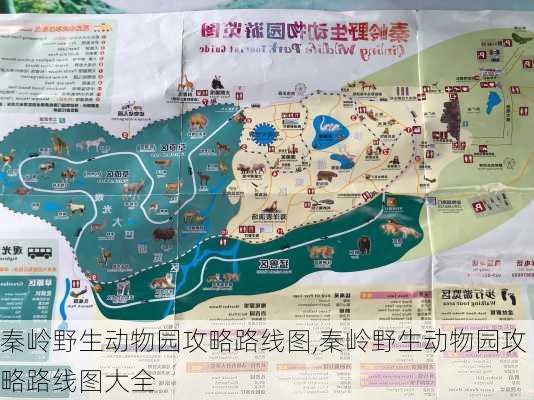 秦岭野生动物园攻略路线图,秦岭野生动物园攻略路线图大全