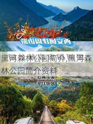 黑河森林公园简介,黑河森林公园简介资料