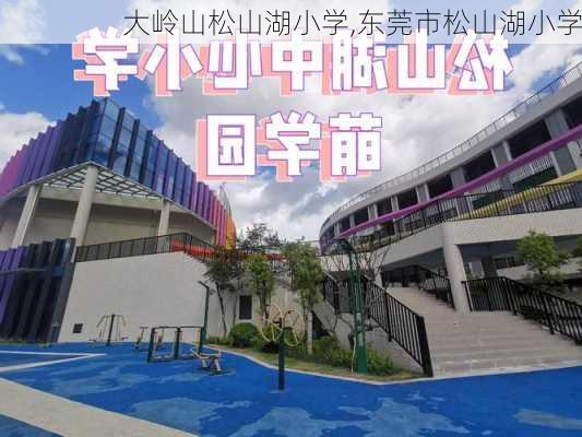 大岭山松山湖小学,东莞市松山湖小学