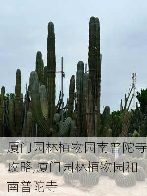 厦门园林植物园南普陀寺攻略,厦门园林植物园和南普陀寺