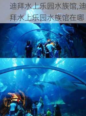 迪拜水上乐园水族馆,迪拜水上乐园水族馆在哪