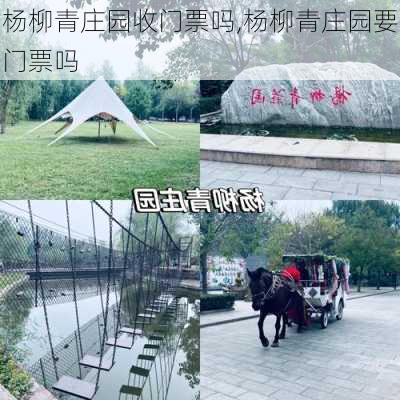 杨柳青庄园收门票吗,杨柳青庄园要门票吗