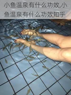 小鱼温泉有什么功效,小鱼温泉有什么功效知乎