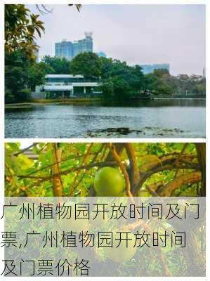 广州植物园开放时间及门票,广州植物园开放时间及门票价格