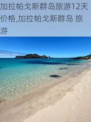 加拉帕戈斯群岛旅游12天价格,加拉帕戈斯群岛 旅游