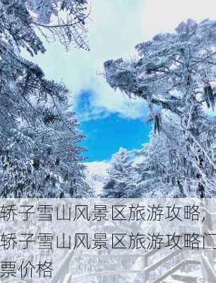 轿子雪山风景区旅游攻略,轿子雪山风景区旅游攻略门票价格